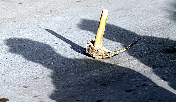 می شود بیتفاوت رد شد و چيزی نديد؟ می شود بیتفاوت رد شد و چيزی نديد؟