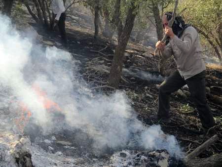 ادامه آتش سوزی در مراتع شهرستان باشت