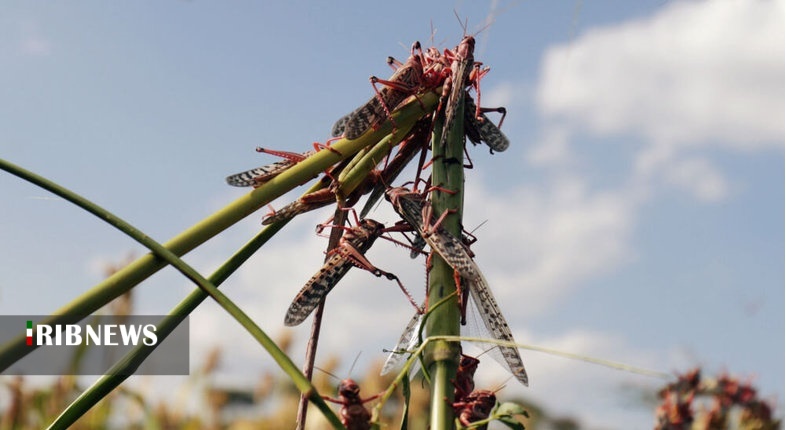 اقتصاد به روایت تصاویر ۱ آبان ۹۹