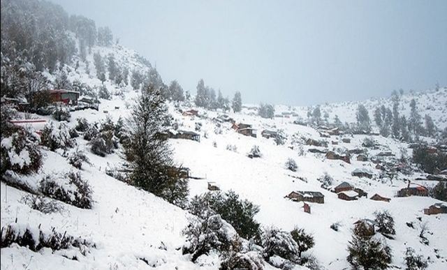 چتر سفید برف بر کوهستان ها