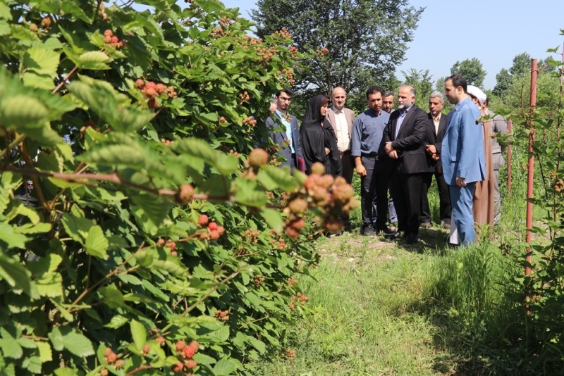 شالیکاران رشتی دغدغه تامین آب را نداشته باشند شالیکاران رشتی دغدغه تامین آب را نداشته باشند