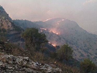 آتش سوزی در جنگل‌ها و مراتع  روستای نوئل شهرستان جوانرود