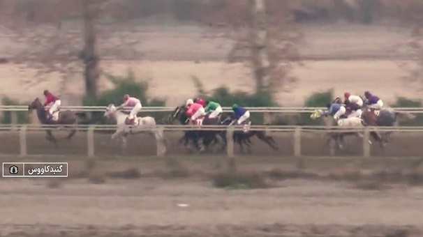 معرفی چابکسواران برنده در رقابت‌های روز دوم هفته هشتم کورس سوارکاری