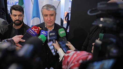 اسلامی: گروسی در گزارش‌ها در محدوده وظایف قانونی عمل کند