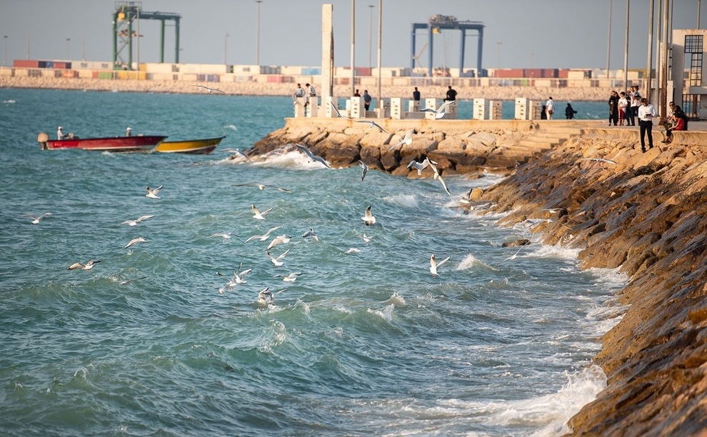 پیش‌بینی وزش باد به‌نسبت شدید در جنوب استان بوشهر
