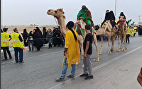 اسارت در اوج  عزت
