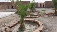 پویشی به بلندای نخل در شمال استان سیستان و بلوچستان