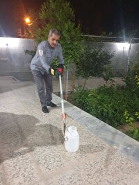 خودداری از کشتن مارها