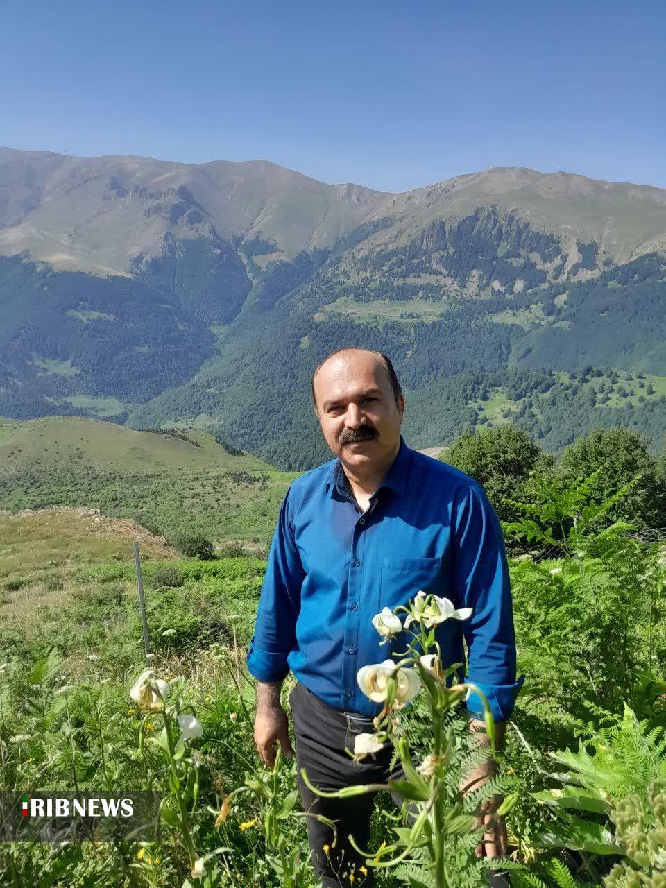 نسیم گیلان