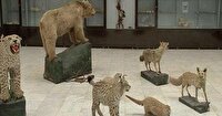 قرارداد ۴۲۰ میلیارد ریالی برای تکمیل مرکز دیرینه‌شناسی مراغه