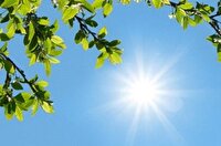پایداری هوای گرم و شرجی در گیلان