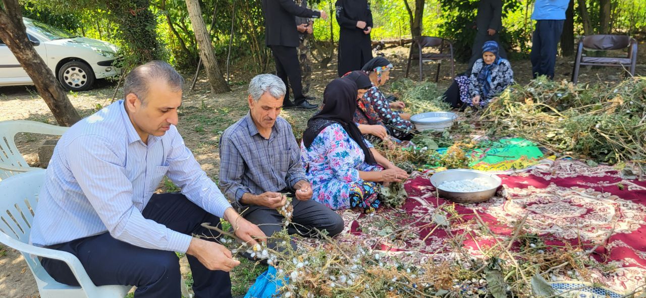 نسیم گیلان
