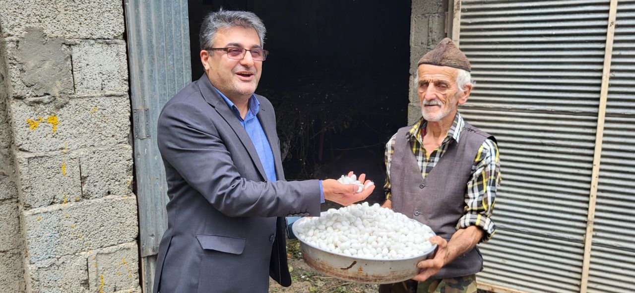 نسیم گیلان