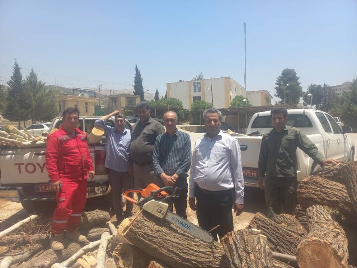 دستگیری متخلف قطع درختان چنار در تنگ سریز