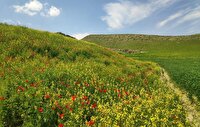درخشش آفتاب تابستانی در سراسر گیلان