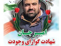 تعداد شهدای ورزشکار رزمی به ۵ تن رسید