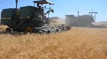 پیش بینی فعالیت ۱۰۰ دستگاه کمباین در مزارع مراغه