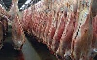 آمادگی شبکه دامپزشکی خوشاب برای نظارت بر ذبح دام نذری
