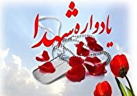 یادواره شهدا، جلوه عشقِ ابهری ها به مدافعان وطن