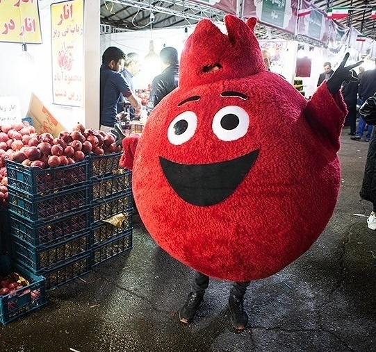 جشنواره انار در خانوک زرند