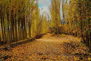 پاییز زیبا در منطقه