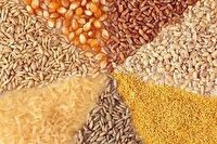 مهلت سهروزه برای ابطال ثبتسفارشهای راکد نهادههای دامی