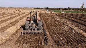 آغاز کشت محصولات پاییزه در باشت