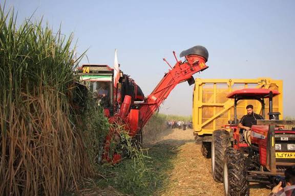 آغاز بزرگترین عملیات متمرکز برداشت کشاورزی کشور در خوزستان