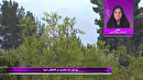 خنکای بهاره از یکشنبه در خراسان جنوبی