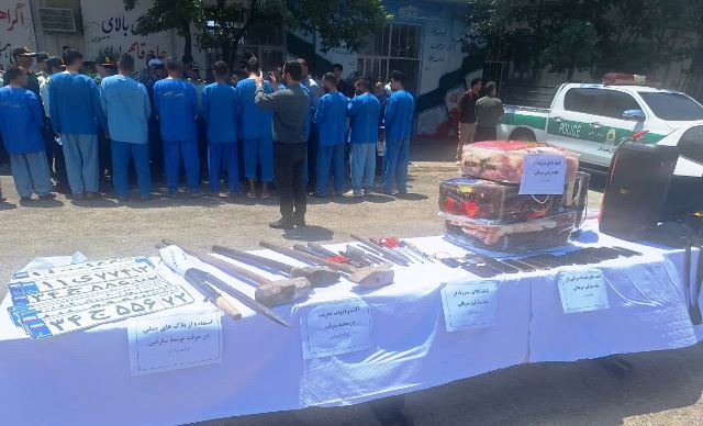 کشف ۷۰ فقره سرقت احشام، منزل، شالیکوبی و باغات در استان مازندران
