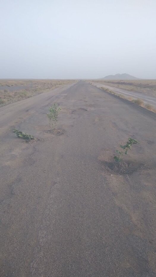 گلایه ساکنین نهبندان خراسان جنوبی از وضعیت جاده روستای رومه
