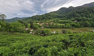 گشت و گذار در طبیعت زیبای روستای فوشه فومن
