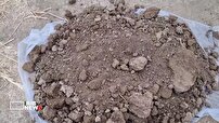 آغاز اجرای طرح ملی پایش خاک‌های کشاورزی زون شمال‌غرب کشور در اردبیل