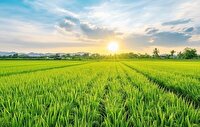 خروج سامانه ناپایدار از گیلان از اواخر وقت امروز