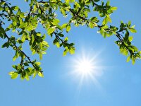 تداوم روند افزایش دما تا اواسط هفته