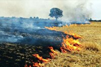 دستگیری متخلفان آتش زدن کاه و کلش در مرودشت