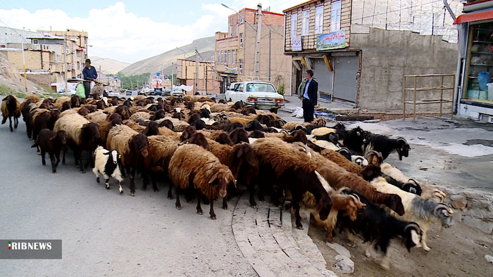 جلوه صبحگاهی روستای لیقوان