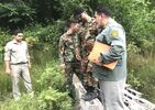 نسیم گیلان