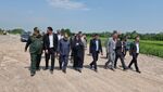 نسیم گیلان