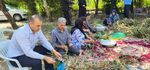 نسیم گیلان